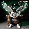 kareem.nasser804