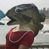 fishii_draw