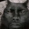 duduamaraldeoliveira