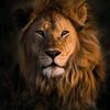 richard_lion_heartt