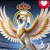 user35022790455964