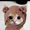 lovecin79