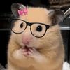 bibahly