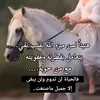user6876179135900