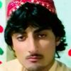 nasir.khan8130