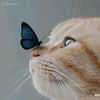 _sanuu_456