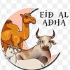 aidil6670