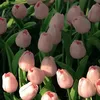 Chỉ còn lại mùa hạ
