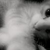 rinn_._2