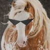 the_dirkstrider