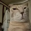_secret_account_ko_