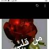 ahmedmed6186