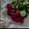 shhxy2