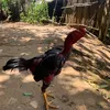bo123.com7