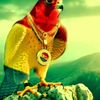 زكرياء اولاد مرقه