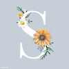 salma227564
