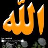 user3403069666800