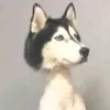 madadevf