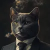 Кіт