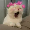 umepamyeuoi06