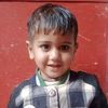 ali.hamza4118