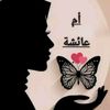 ahmedwael6486