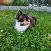 _paulina_1691