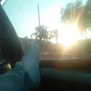 tatii_229