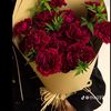user6333015112240