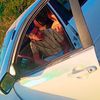 sinker373
