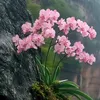 miu.xinh805