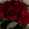 qsyjabfguxl