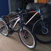 aligator2618