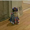 akira_kai43