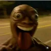 dehkrk