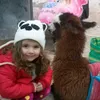 amppiiu