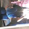 baby_pink31