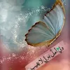 user59556338058211