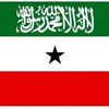 c.zamad.hamud
