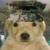 comando_mario.mx