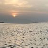 michealhung8
