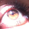 alves_03111