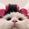 imell111