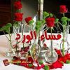user1628620861062