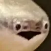 eliejahk