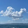 frenchdiscoveries