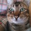 farida_1242003