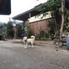 capt.kpo4