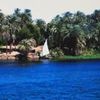mahmoud.kamel8738