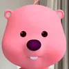 _vanh13.6_